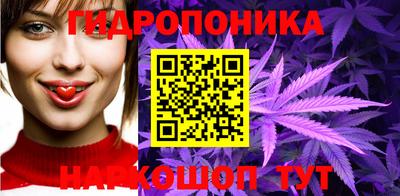 спиды Можга