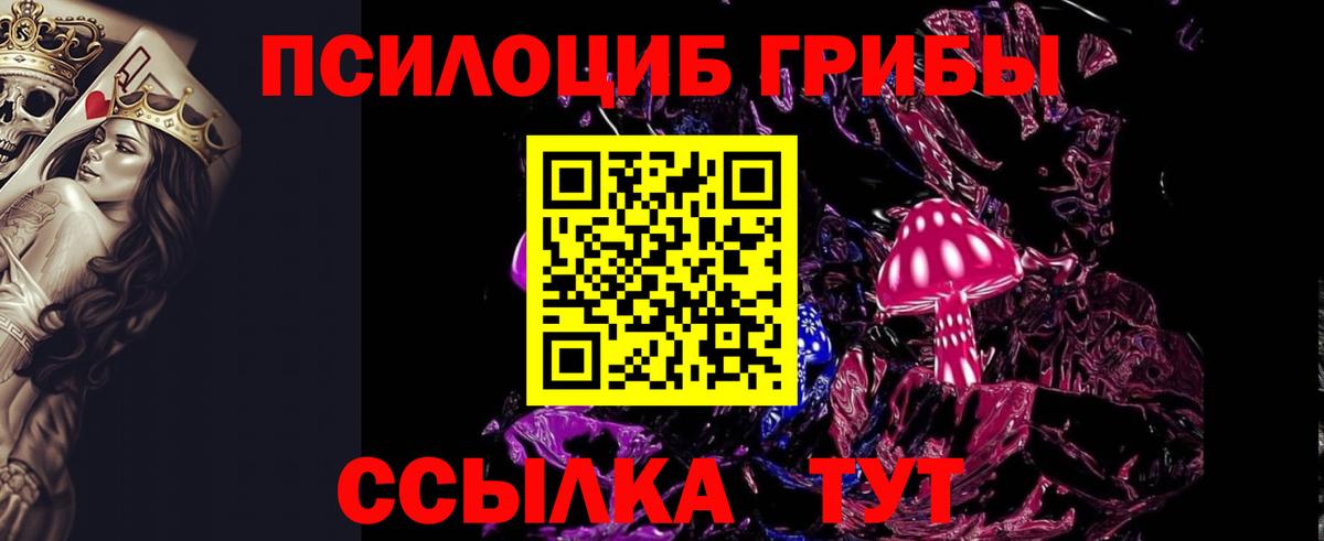 Галлюциногенные грибы ЛСД  Вход с VPN  Усть-Илимск  Галлюциногенные грибы GOLDEN TEACHER 